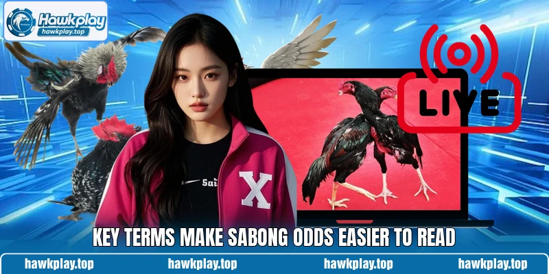 Key terms make sabong odds easier to read Key terms make sabong odds easier to read
